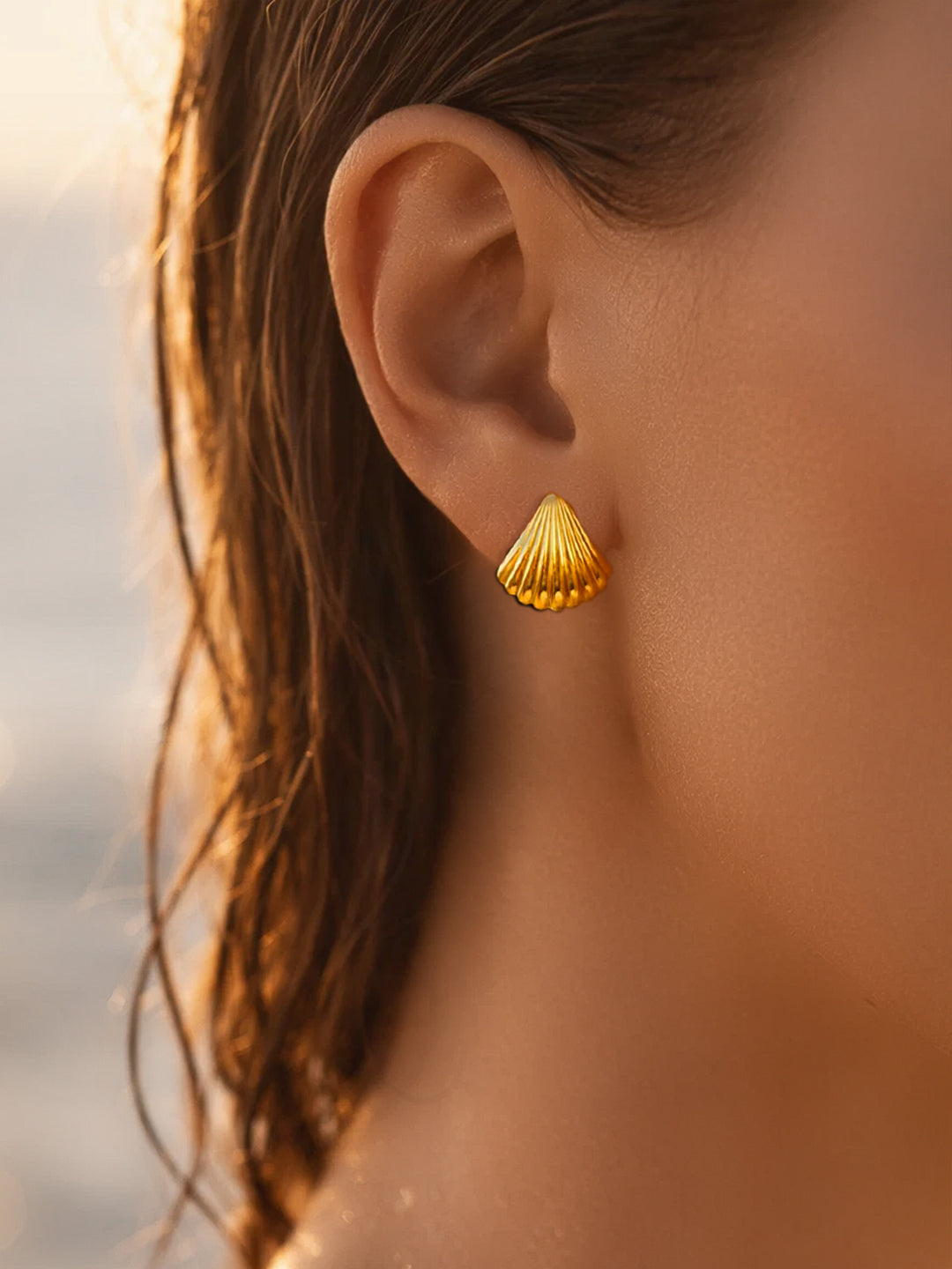 Demi Fine 18K Gold Plated Stainless steel Textured Shell Stud Earrings
