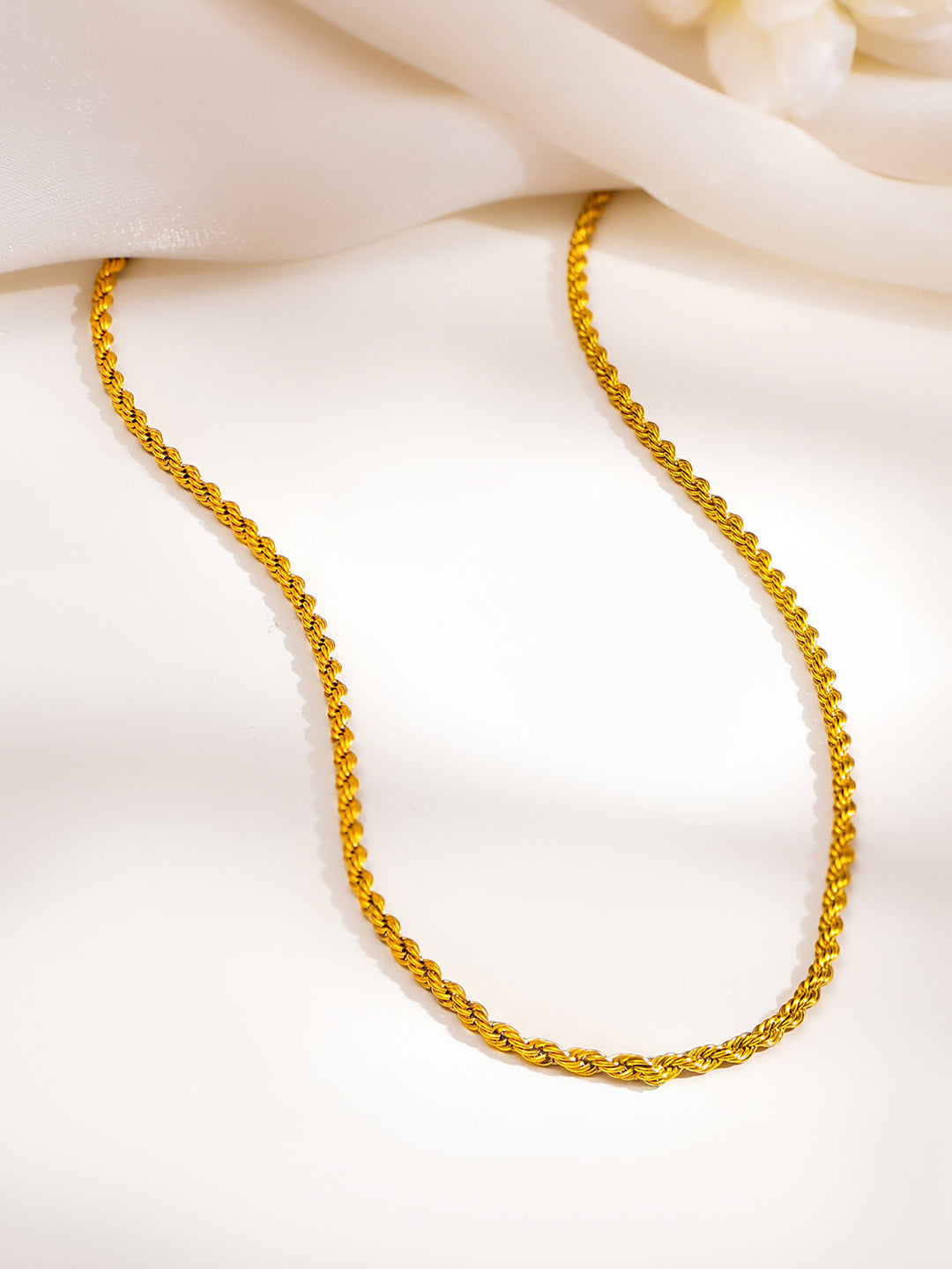 Demi Fine 18K Gold Plated Stainless steel Rope Chain Necklace