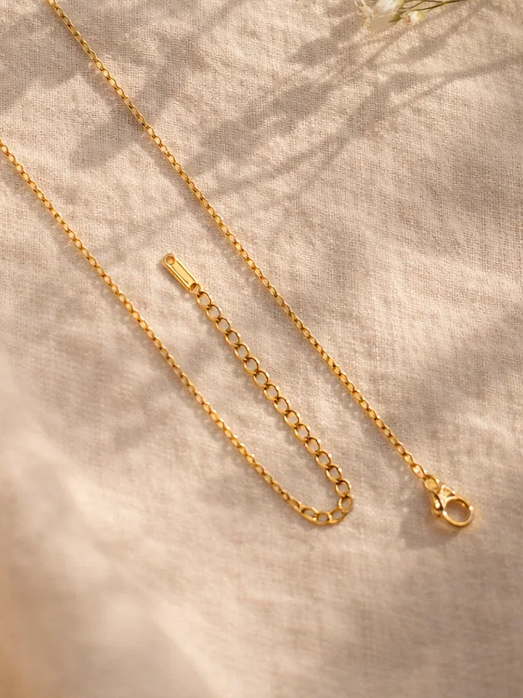 Demi Fine 18K Gold Plated Stainless steel Minimal D Pendant Necklace